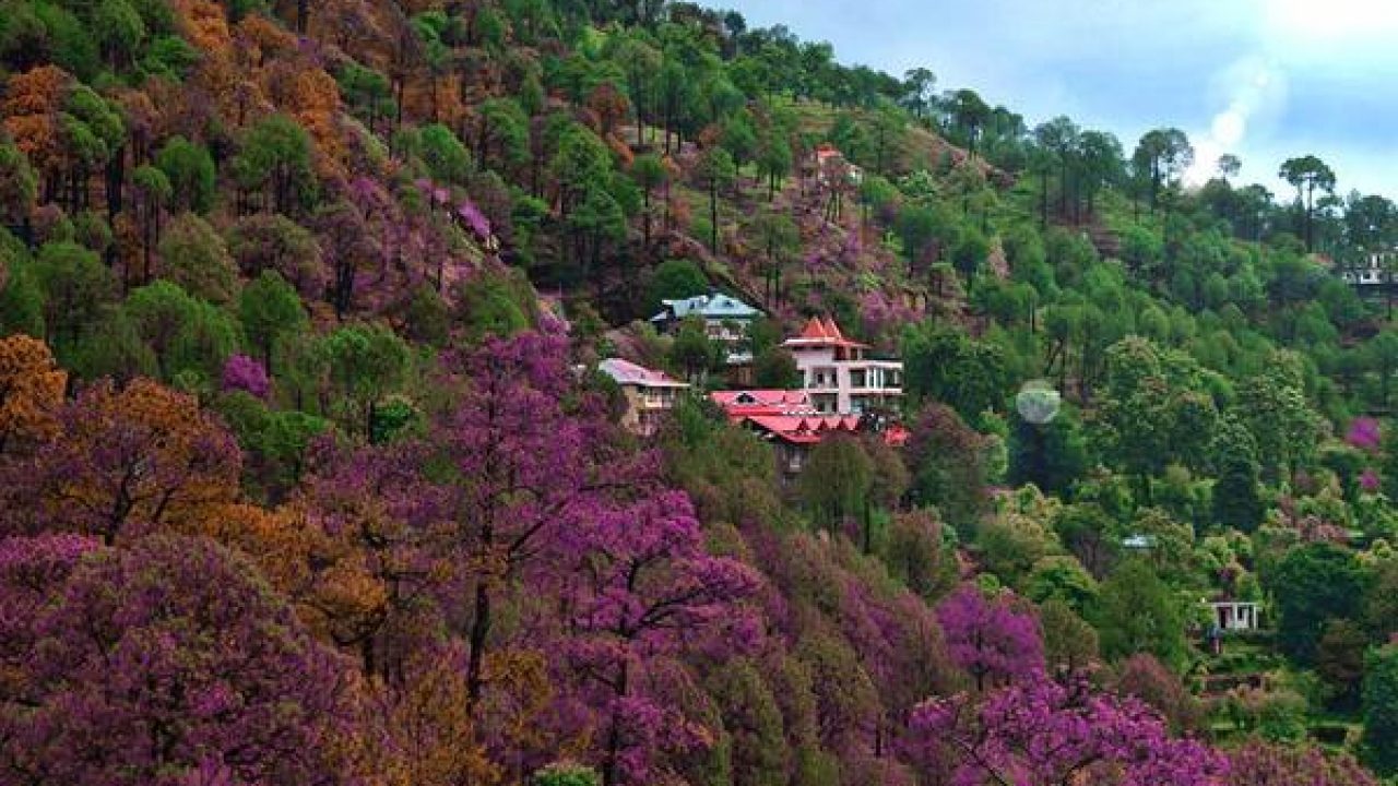 Places_to_Visit_in_Kasauli_600x400-1280x720